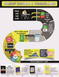Credit Repair & Tradelines - Infographic