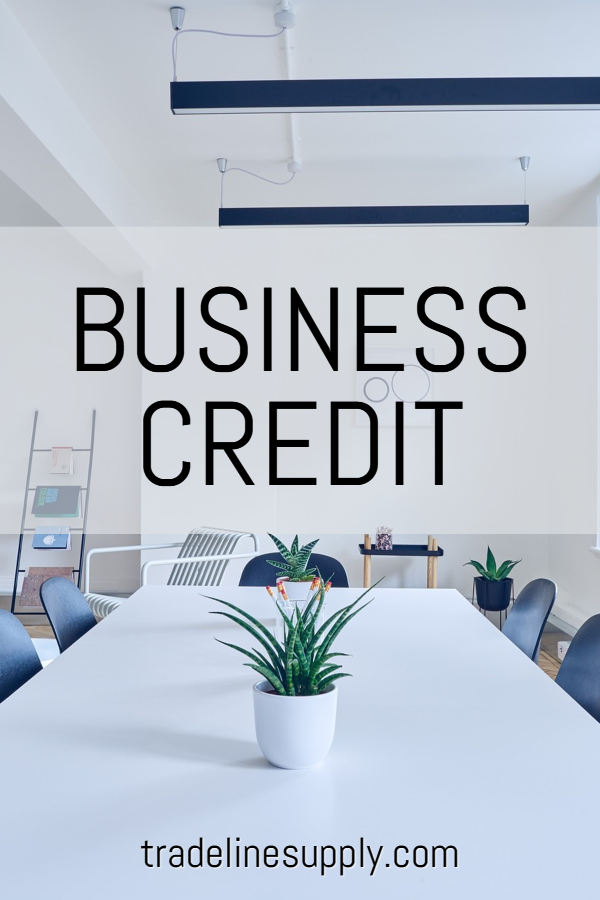 Business Credit Pinterest graphic