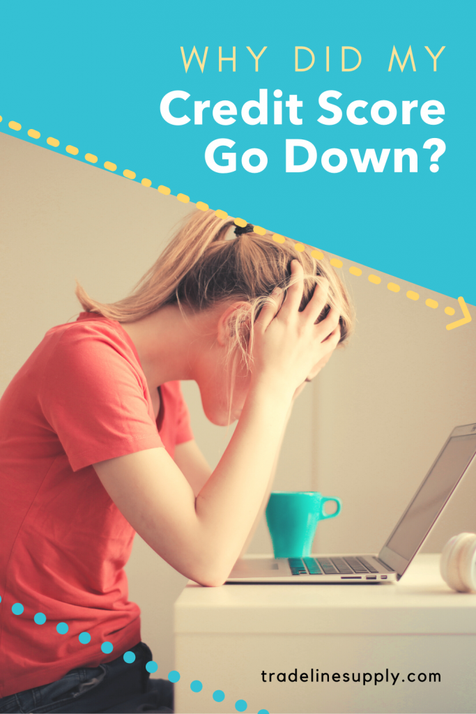 Why Did My Credit Score Go Down? Pinterest graphic