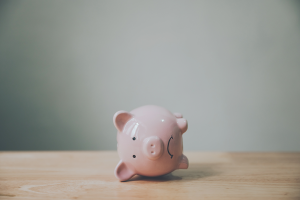 Empty piggy bank - reasons why your credit score stays low