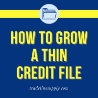 How to Grow a Thin Credit File
