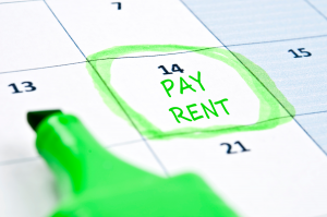 Rent payment credit data