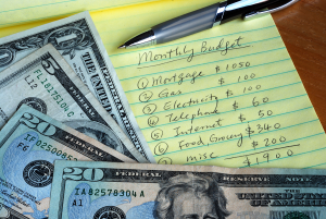 Cosigner monthly budget