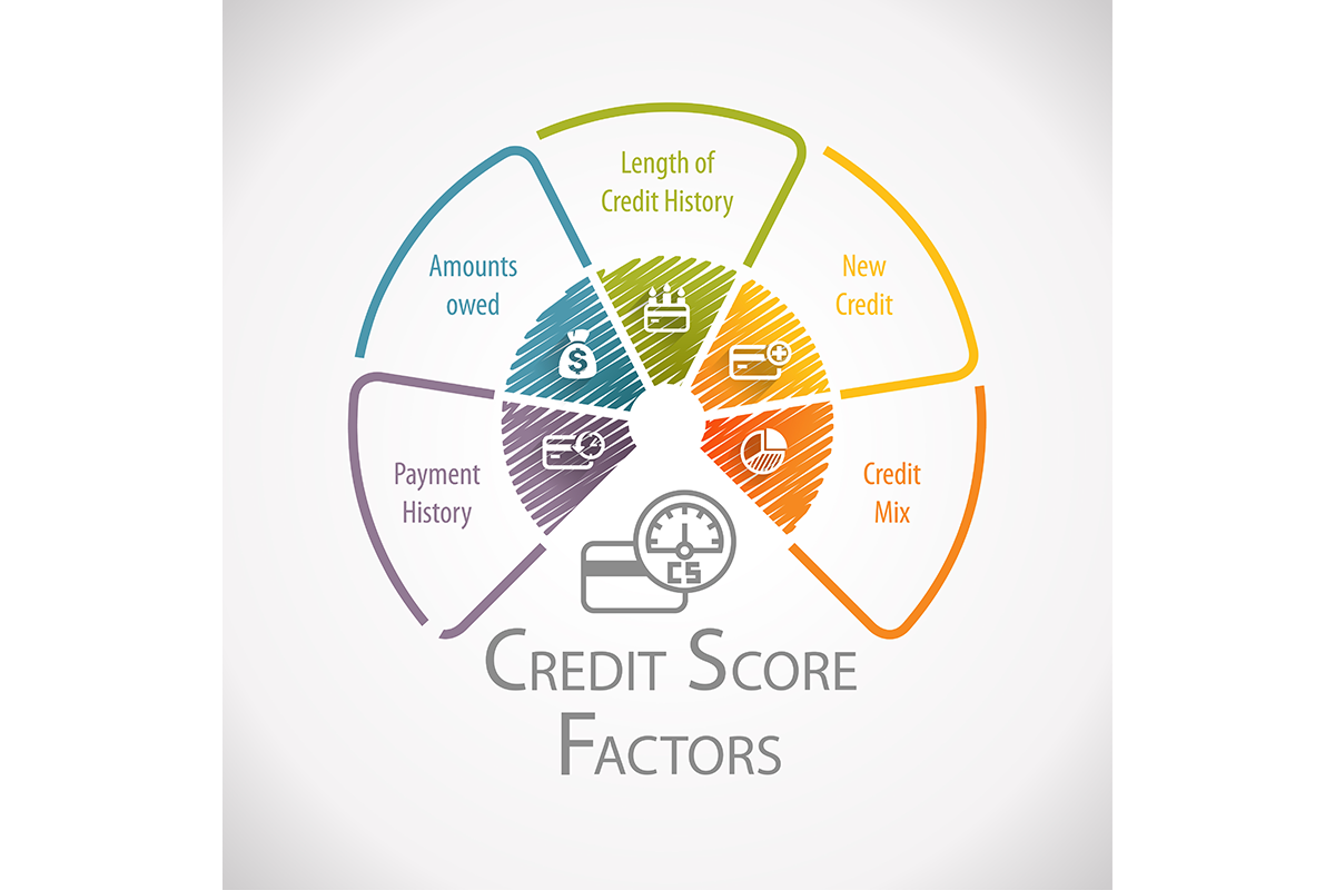 Want To See Your Fico Score For Free Heres How To Do It Tradeline Supply Company Llc 2717