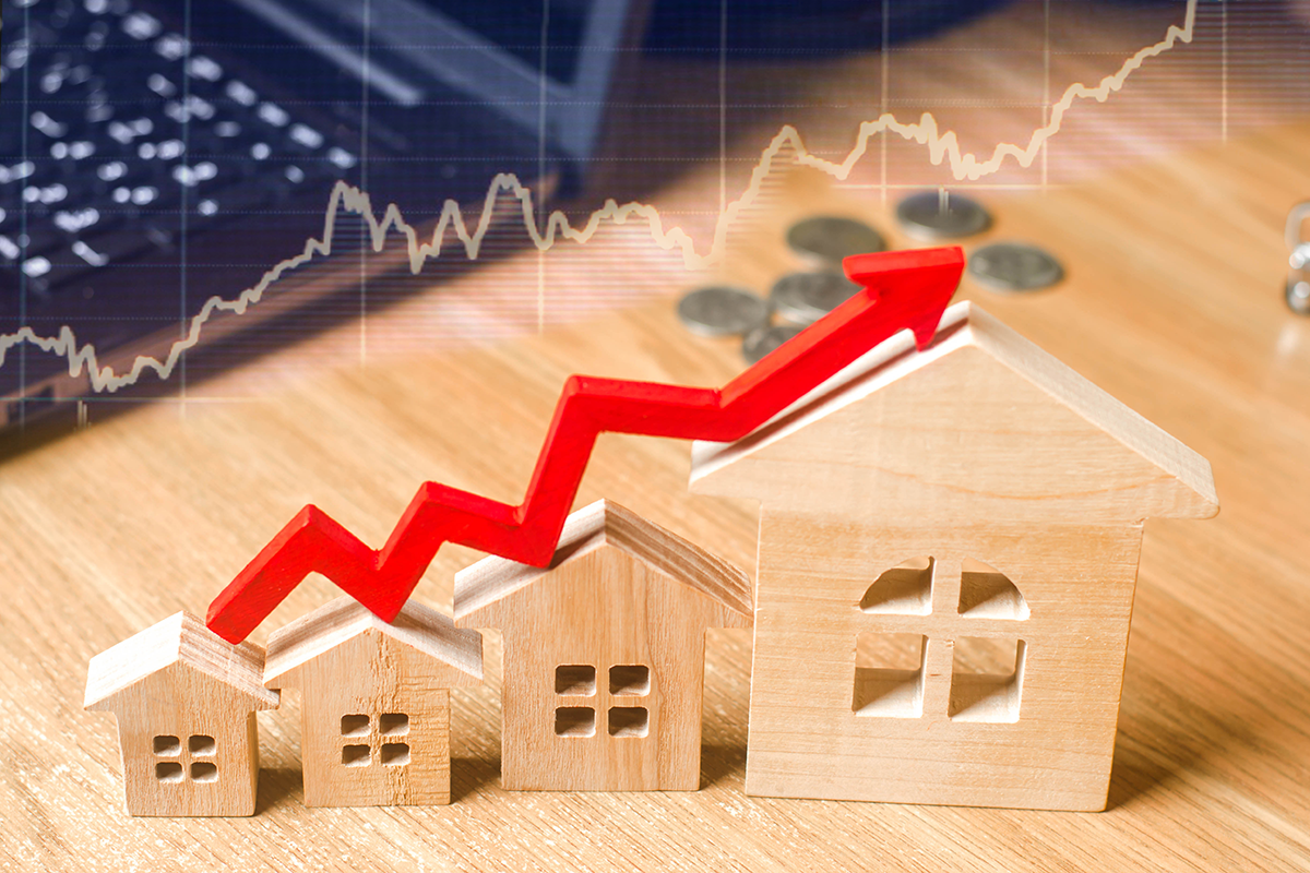 Essential Guide to Renters’ Rights—What You Need to Know