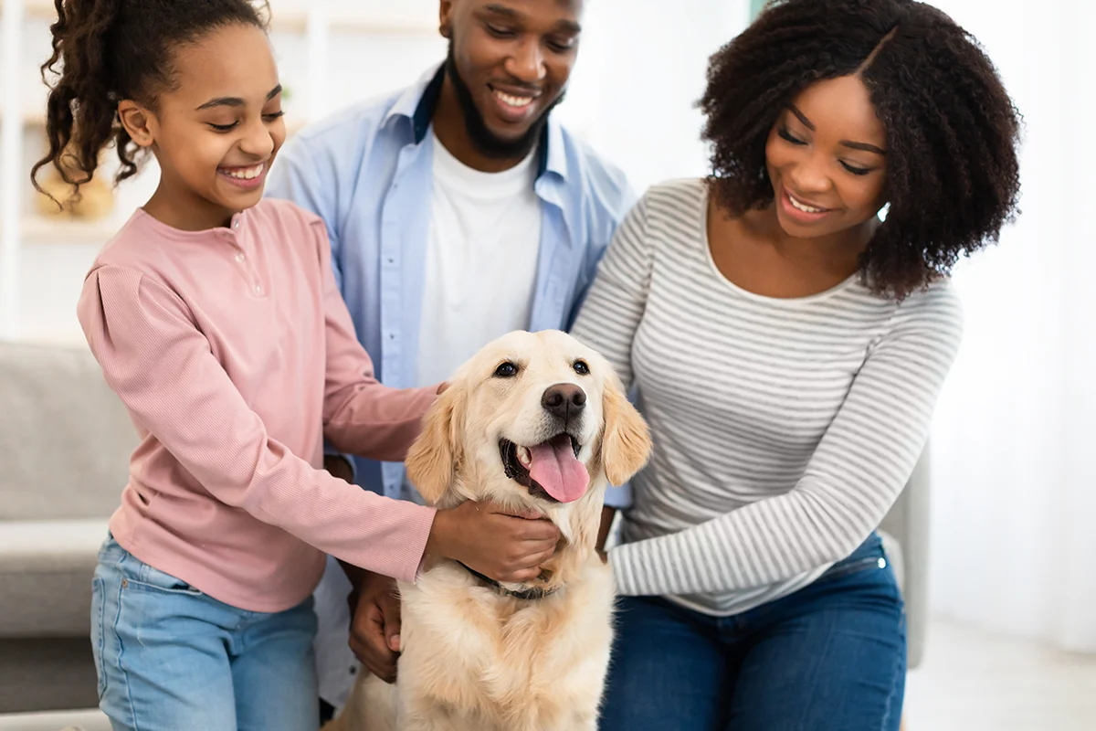 How to Protect Your Finances as a Pet Parent